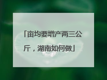 亩均要增产两三公斤，湖南如何做