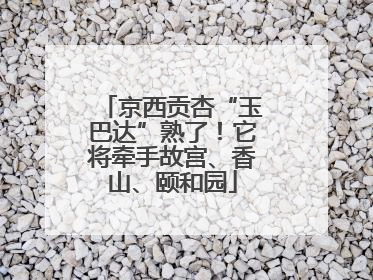 京西贡杏“玉巴达”熟了！它将牵手故宫、香山、颐和园