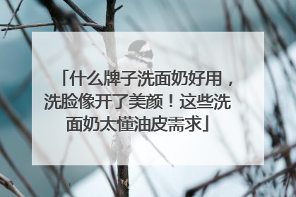 什么牌子洗面奶好用，洗脸像开了美颜！这些洗面奶太懂油皮需求