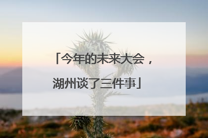 今年的未来大会，湖州谈了三件事