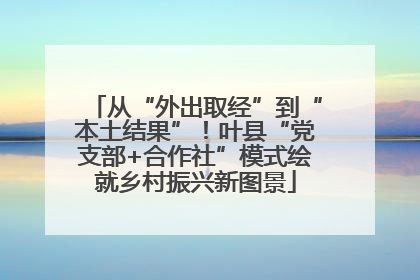 从“外出取经”到“本土结果”！叶县“党支部+合作社”模式绘就乡村振兴新图景