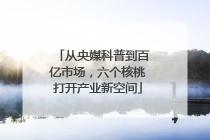 从央媒科普到百亿市场，六个核桃打开产业新空间