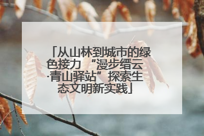 从山林到城市的绿色接力 “漫步缙云·青山驿站”探索生态文明新实践
