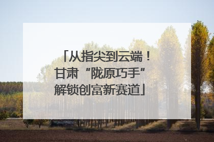 从指尖到云端！甘肃“陇原巧手”解锁创富新赛道