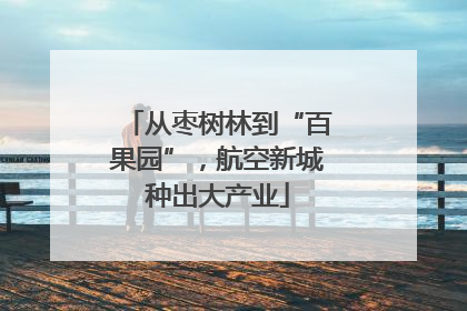 从枣树林到“百果园”，航空新城种出大产业