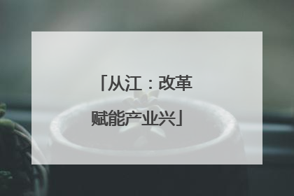 从江：改革赋能产业兴