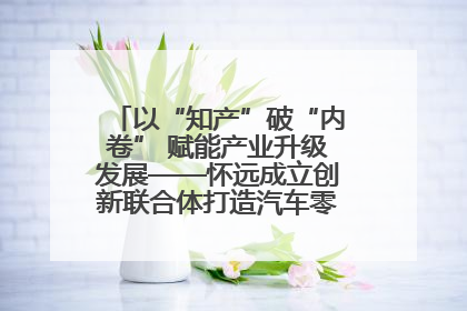 以“知产”破“内卷” 赋能产业升级发展——怀远成立创新联合体打造汽车零部件产业新高地