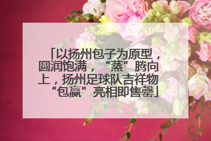 以扬州包子为原型，圆润饱满，“蒸”腾向上，扬州足球队吉祥物“包赢”亮相即售罄