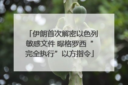 伊朗首次解密以色列敏感文件 曝格罗西“完全执行”以方指令