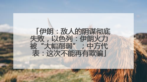 伊朗：敌人的阴谋彻底失败，以色列：伊朗火力被“大幅削弱”；中方代表：这次不能再有欺骗