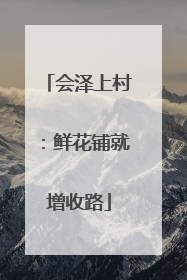 会泽上村：鲜花铺就增收路
