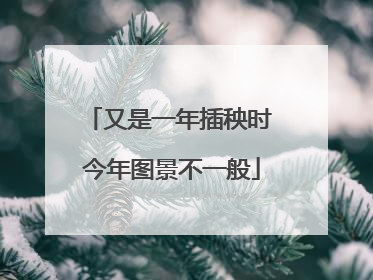 又是一年插秧时 今年图景不一般