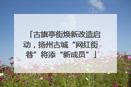 古旗亭街焕新改造启动，扬州古城“网红街巷”将添“新成员”