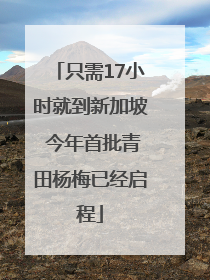 只需17小时就到新加坡 今年首批青田杨梅已经启程