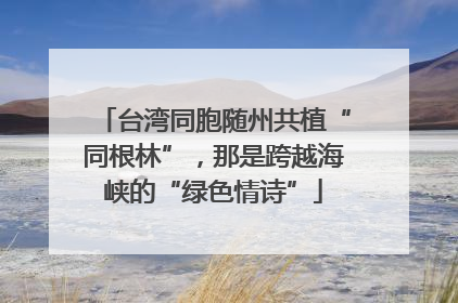 台湾同胞随州共植“同根林”，那是跨越海峡的“绿色情诗”