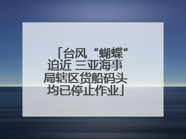 台风“蝴蝶”迫近 三亚海事局辖区货船码头均已停止作业