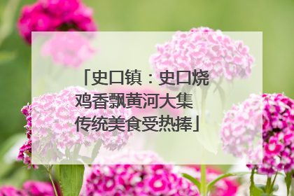 史口镇：史口烧鸡香飘黄河大集 传统美食受热捧