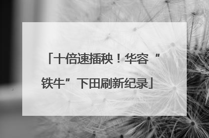 十倍速插秧！华容“铁牛”下田刷新纪录