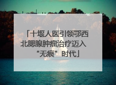十堰人医引领鄂西北腮腺肿瘤治疗迈入“无痕”时代