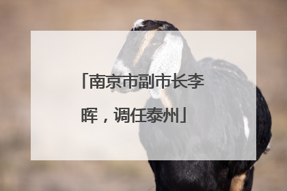 南京市副市长李晖，调任泰州