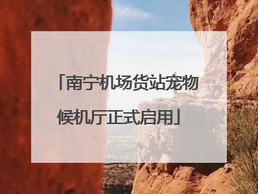 南宁机场货站宠物候机厅正式启用