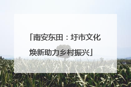 南安东田：圩市文化焕新助力乡村振兴
