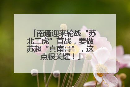 南通迎来轮战“苏北三虎”首战，要做苏超“真南哥”，这点很关键！