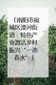 南阳市宛城区溧河街道：特色产业激活乡村振兴“一池春水”