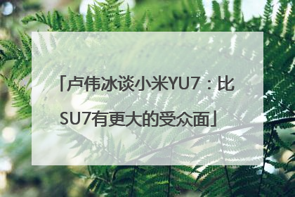 卢伟冰谈小米YU7：比SU7有更大的受众面