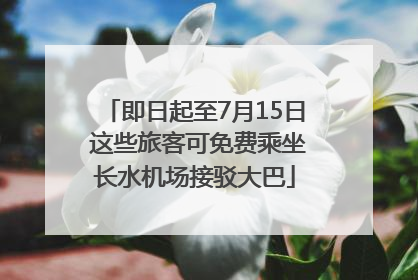 即日起至7月15日 这些旅客可免费乘坐长水机场接驳大巴