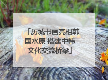 历城书画亮相韩国水原 搭建中韩文化交流桥梁