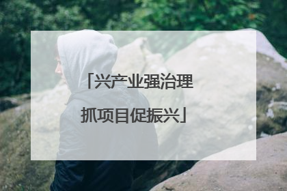 兴产业强治理 抓项目促振兴