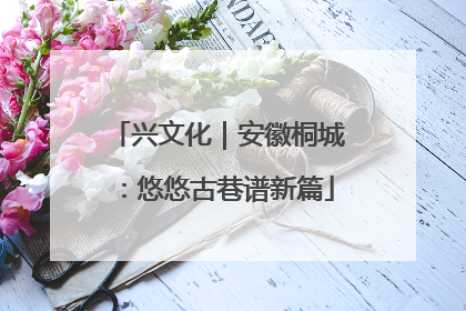 兴文化｜安徽桐城：悠悠古巷谱新篇