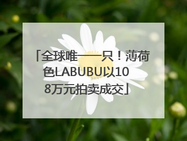 全球唯一一只！薄荷色LABUBU以108万元拍卖成交