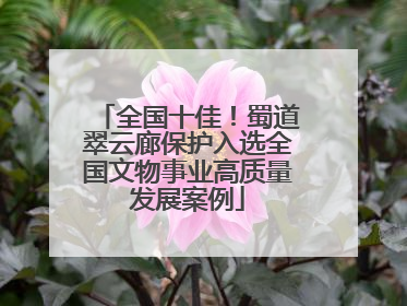 全国十佳！蜀道翠云廊保护入选全国文物事业高质量发展案例
