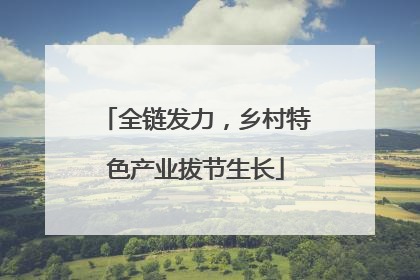全链发力，乡村特色产业拔节生长