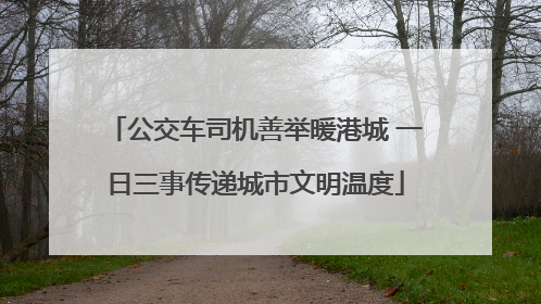 公交车司机善举暖港城 一日三事传递城市文明温度