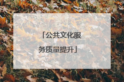公共文化服务质量提升