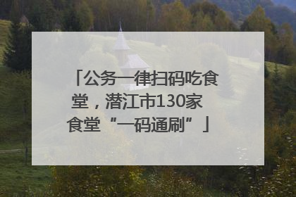 公务一律扫码吃食堂，潜江市130家食堂“一码通刷”