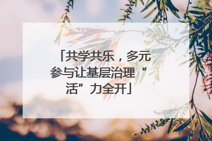 共学共乐，多元参与让基层治理“活”力全开