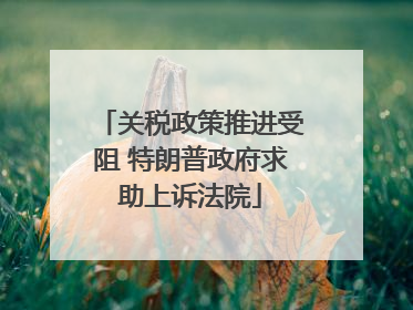关税政策推进受阻 特朗普政府求助上诉法院