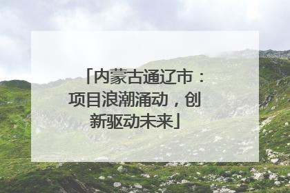 内蒙古通辽市：项目浪潮涌动，创新驱动未来