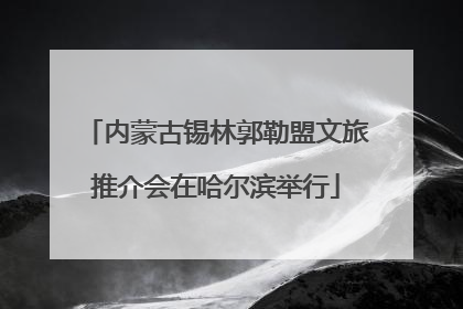 内蒙古锡林郭勒盟文旅推介会在哈尔滨举行