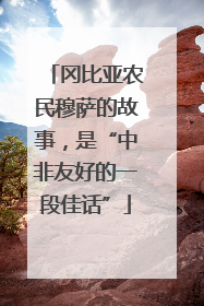冈比亚农民穆萨的故事，是“中非友好的一段佳话”