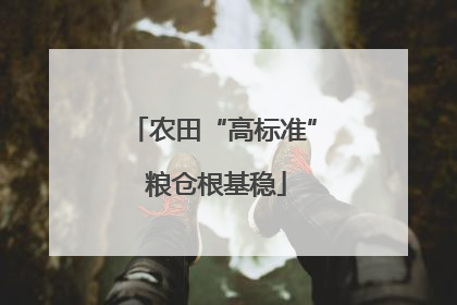 农田“高标准” 粮仓根基稳