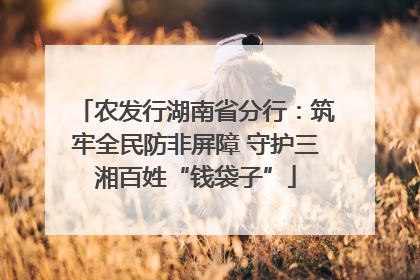 农发行湖南省分行：筑牢全民防非屏障 守护三湘百姓“钱袋子”