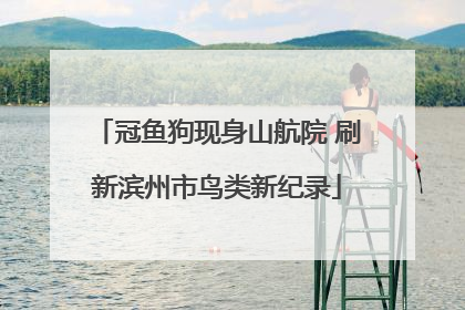 冠鱼狗现身山航院 刷新滨州市鸟类新纪录