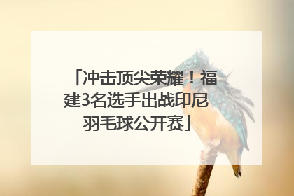 冲击顶尖荣耀！福建3名选手出战印尼羽毛球公开赛