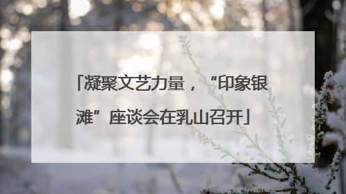 凝聚文艺力量，“印象银滩”座谈会在乳山召开