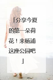 分享今夏的第一朵荷花！来杨浦这座公园吧